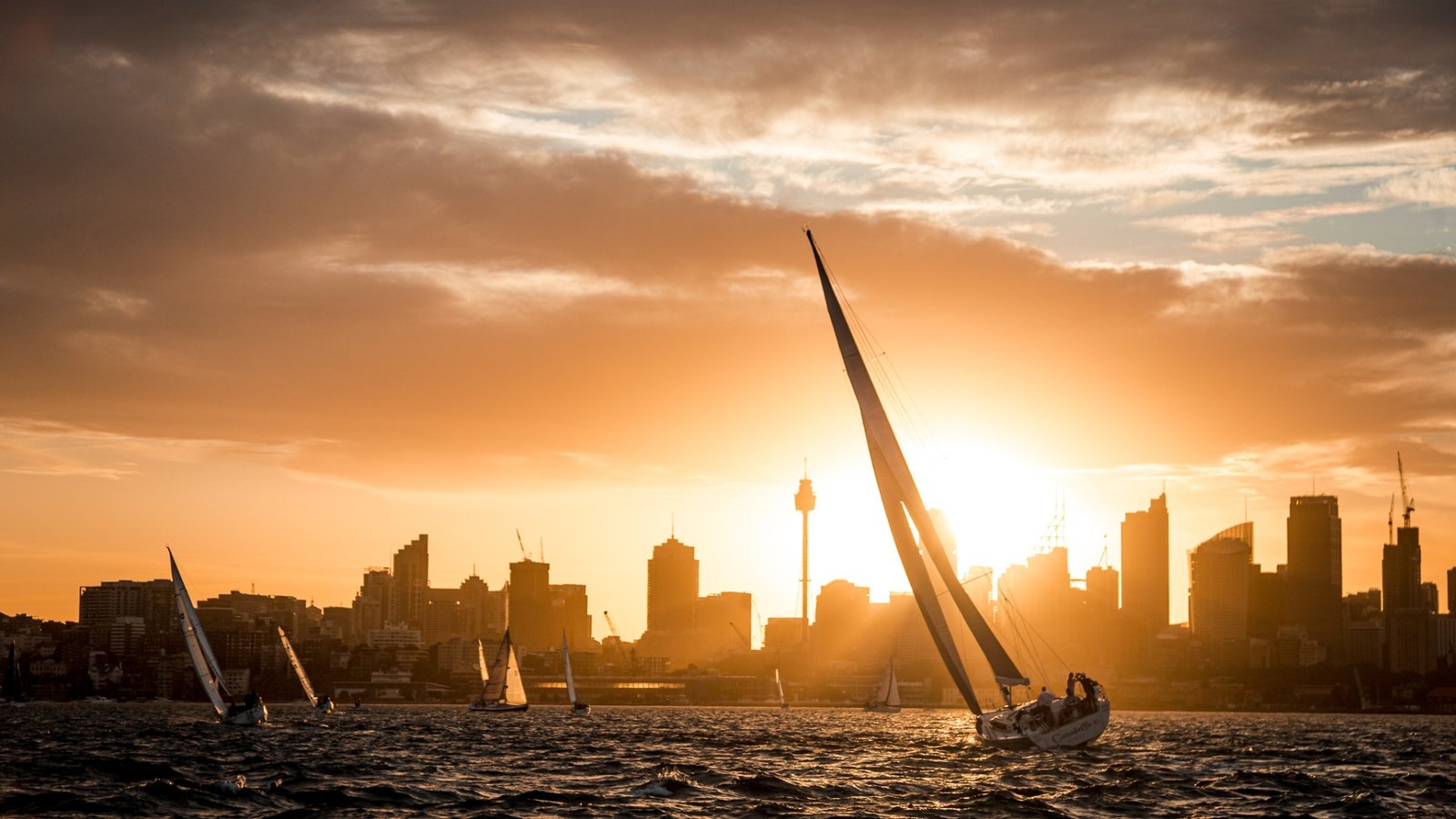 Sydney Harbour sunet