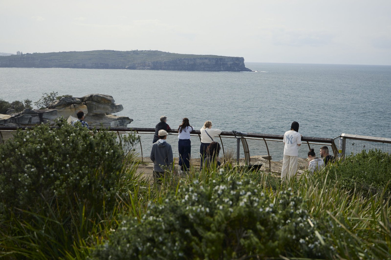 Tour group enjoying scenic lookout views on Sydney coastal tour